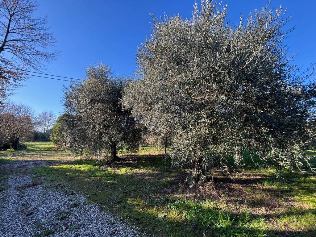 Terreno a San lazzaro di savena in Via Carlo Jussi - Foto 2