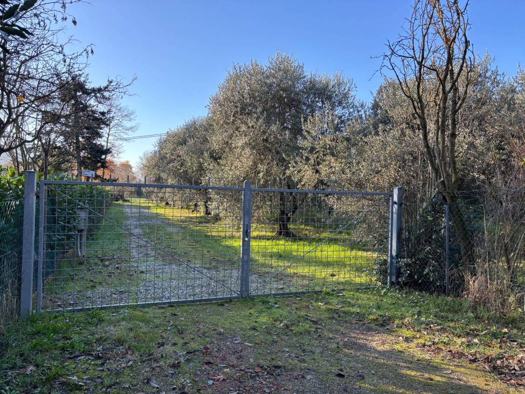 Terreno a San lazzaro di savena in Via Carlo Jussi - Foto 3