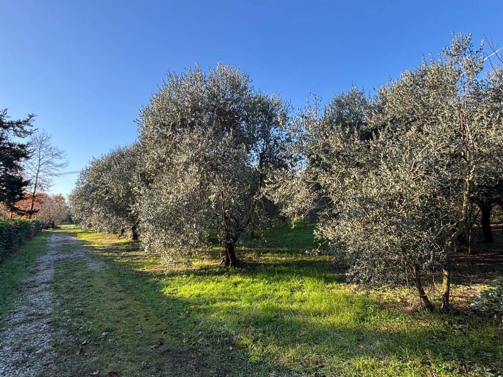 Terreno a San lazzaro di savena in Via Carlo Jussi - Foto 5