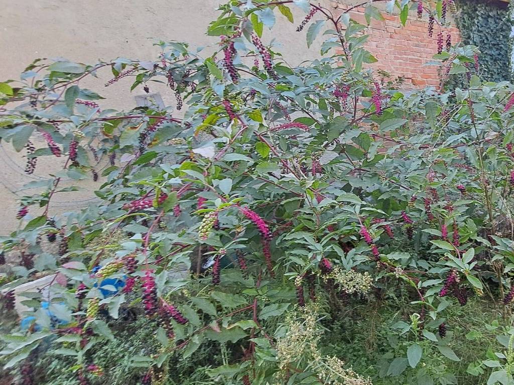 Casa indipendente a Quarrata in Via Adige - Foto 2