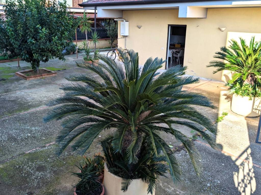 Villa a Cassano all'ionio in Via Stobeo - Foto 2