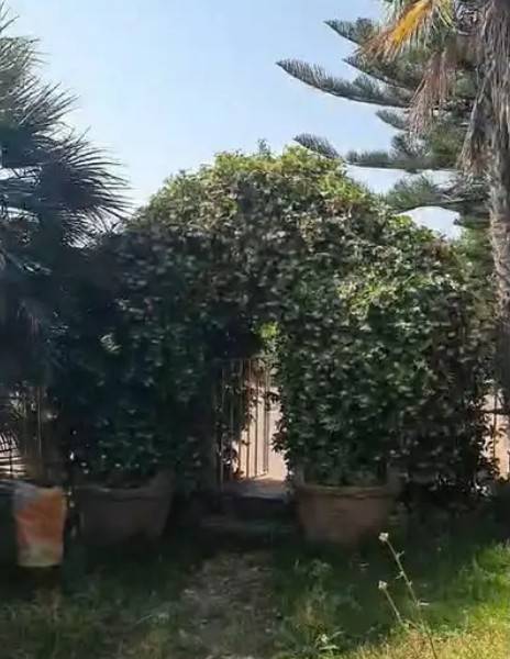Villa a Ischia in Via Nuova dei Conti, 41 - Foto 3