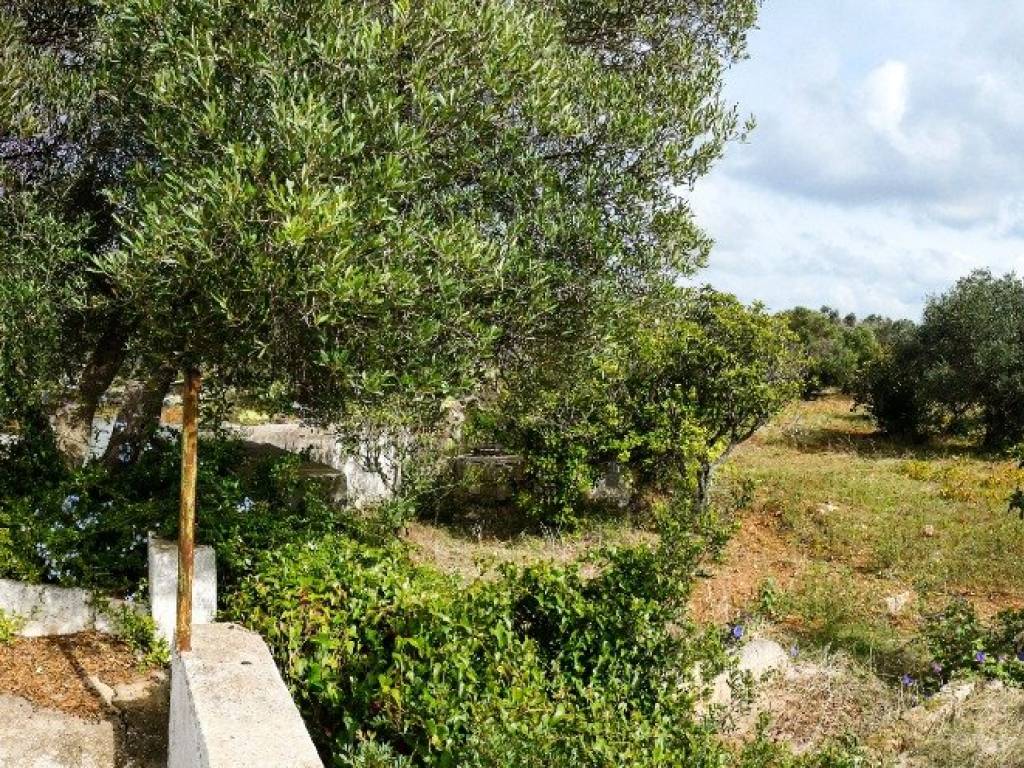 Rustico / casale a Ostuni - Foto 2