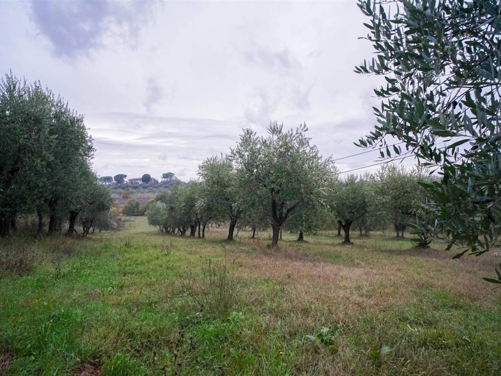 Appartamento a Montepulciano - Foto 5