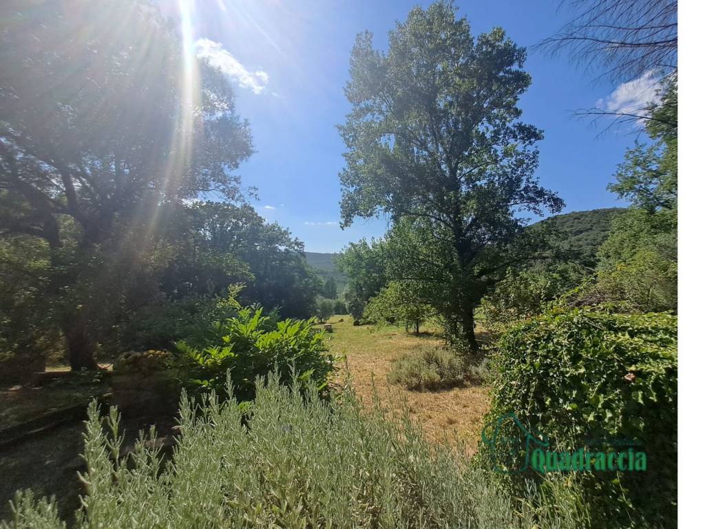 Rustico / casale a Amelia in strada amelia giove - Foto 2