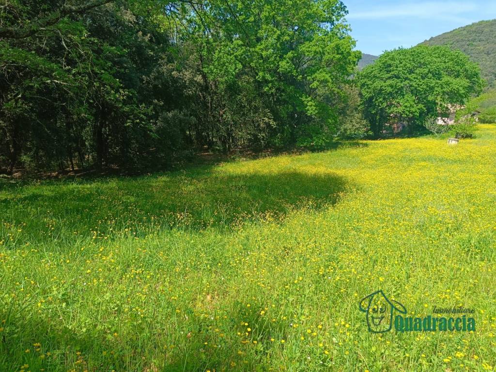 Rustico / casale a Amelia in strada amelia giove - Foto 5
