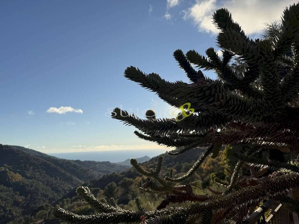 Villa a Seborga in Strada Provinciale 57 - Foto 2