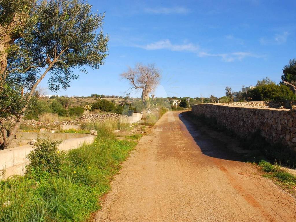 Terreno a Castrignano del capo in Strada Vicinale Monticelli II - Foto 4