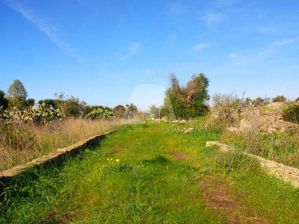 Terreno a Castrignano del capo in Strada Vicinale Monticelli II - Foto 5