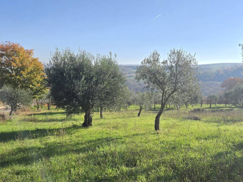 Casa indipendente a Paternopoli in Contrada Pescocupo - Foto 5