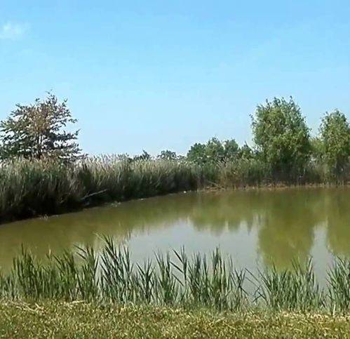 Rustico / casale a Naro - Foto 3