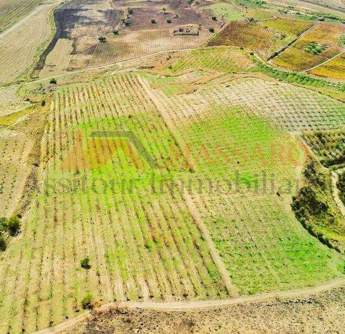 Rustico / casale a Butera - Foto 4