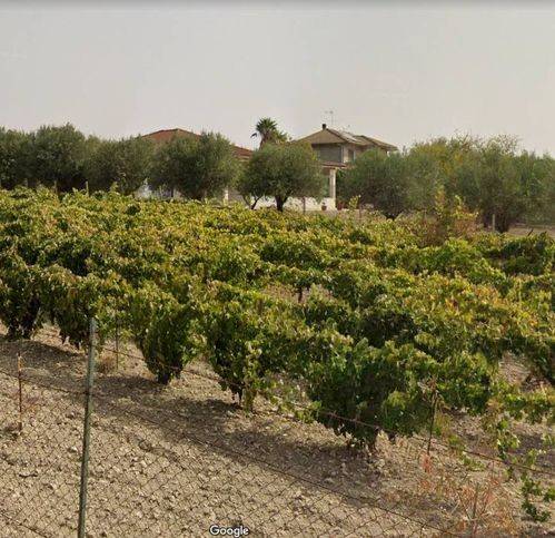 Villa a Campobello di licata - Foto 3