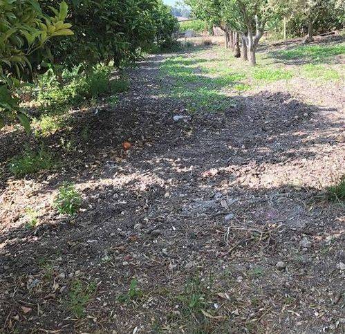 Villa a Campobello di licata - Foto 3