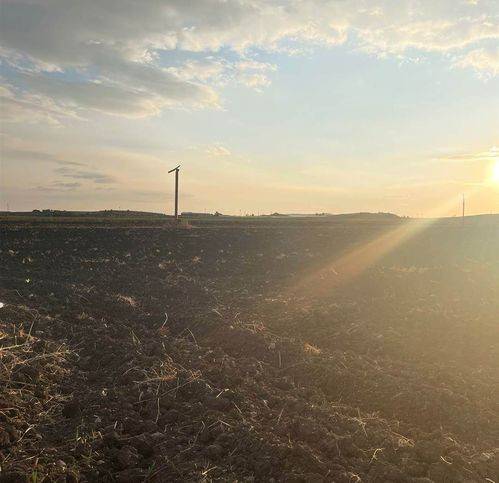 Rustico / casale a Naro - Foto 5