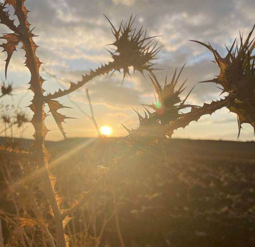 Rustico / casale a Naro - Foto 2