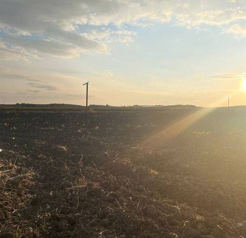 Rustico / casale a Naro - Foto 2