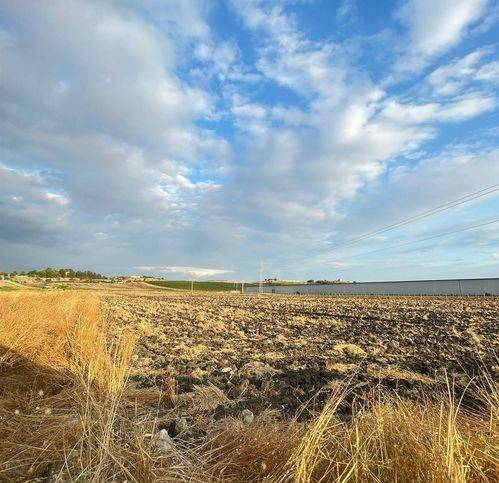 Rustico / casale a Naro - Foto 3