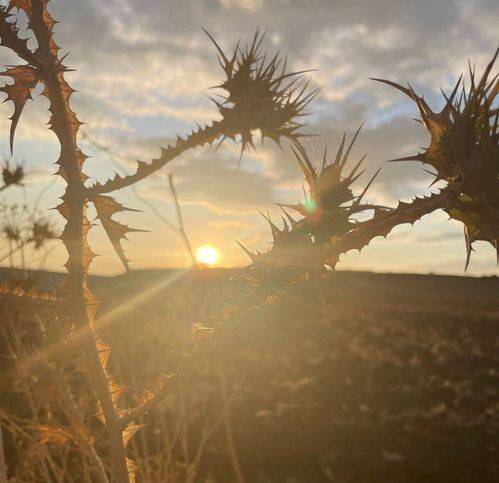 Rustico / casale a Naro - Foto 4