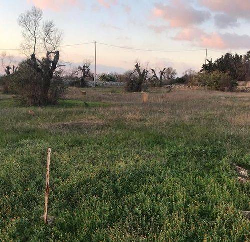 Terreno a Ugento - Foto 2