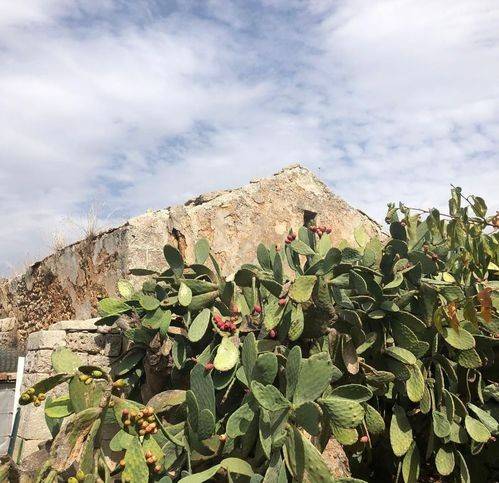 Villa a Maglie - Foto 3