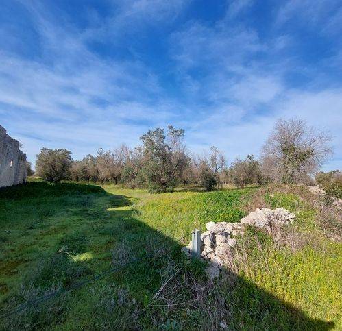 Villa a Carpignano salentino - Foto 4