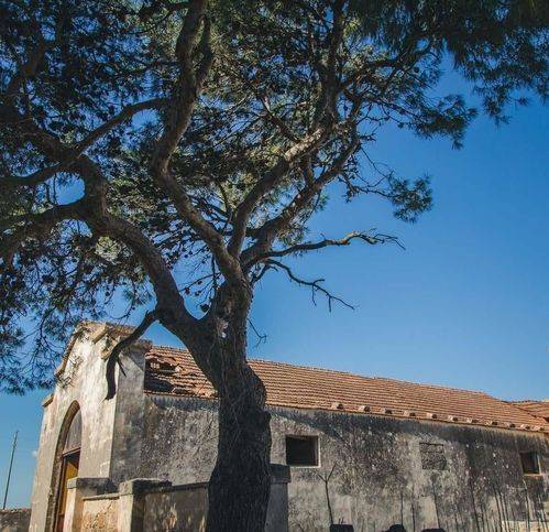 Villa a Nardò in Sp359 - Foto 4