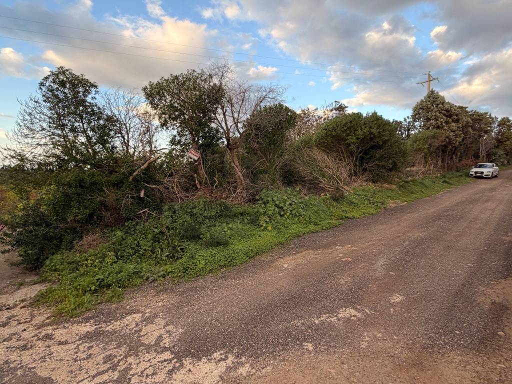 Terreno a Campofelice di roccella in Contrada Roselle - Foto 4