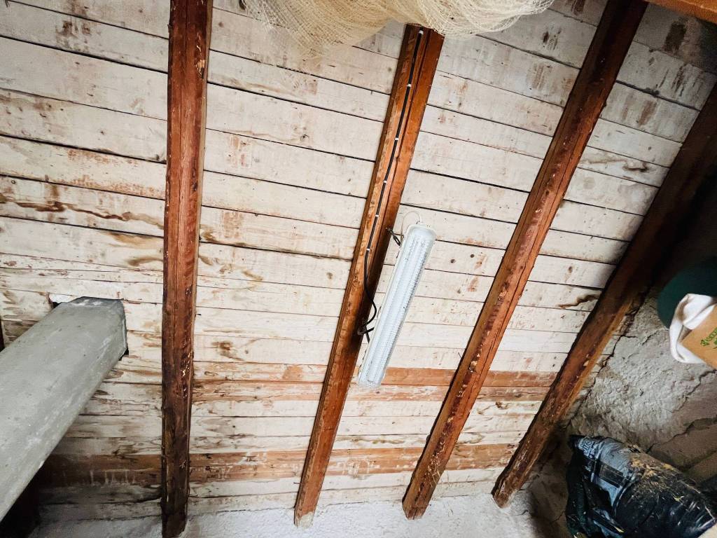 Villa a Gratteri in Contrada Rapputi - Foto 5