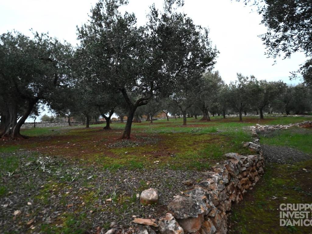 Terreno a Ostuni in Contrada San Salvatore - Foto 3