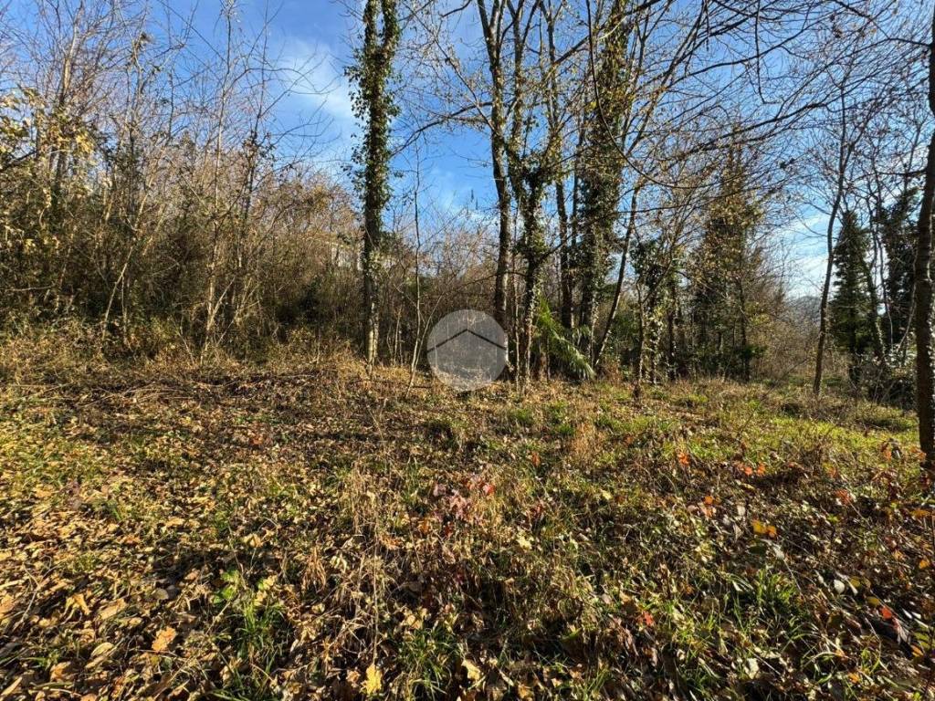 Terreno a Almese in Via Sonetto - Foto 4