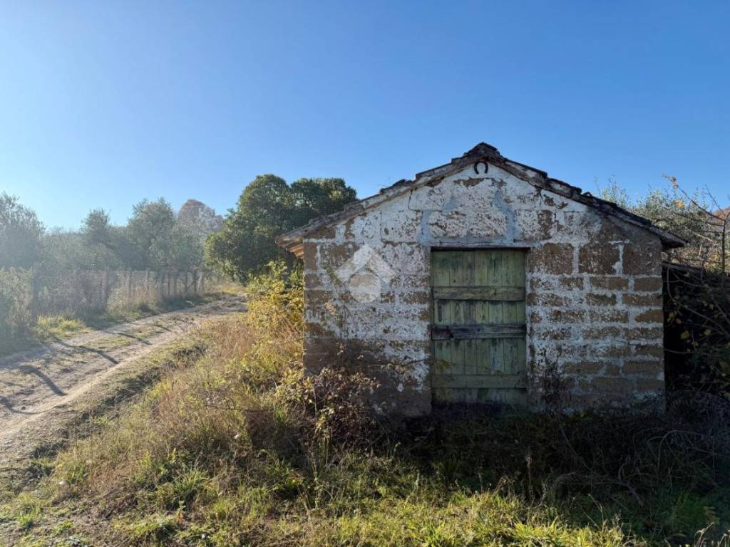 Rustico / casale a Soriano nel cimino in Località San Venanzio - Foto 2