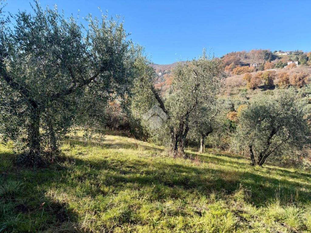 Rustico / casale a Soriano nel cimino in Località San Venanzio - Foto 3