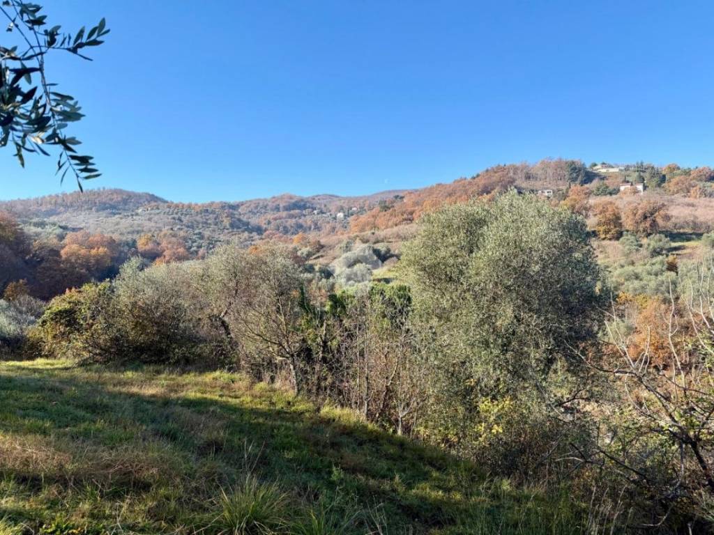 Rustico / casale a Soriano nel cimino in Località San Venanzio - Foto 5