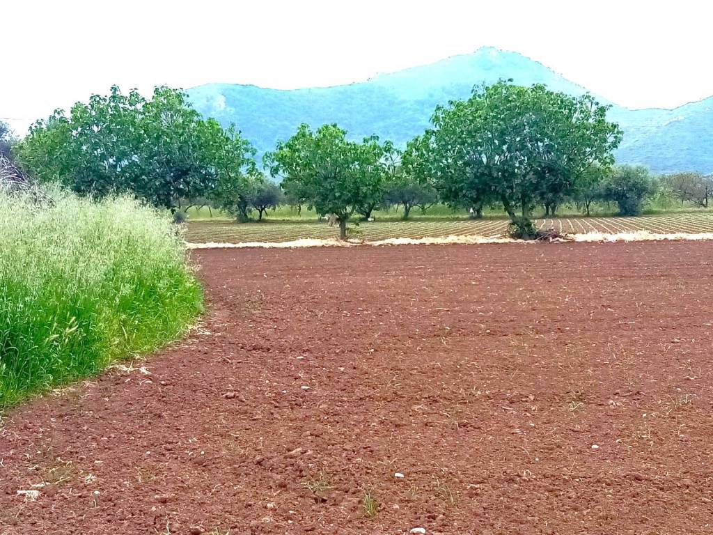 Terreno a Mondragone in provinciale falciano mondragone - Foto 4
