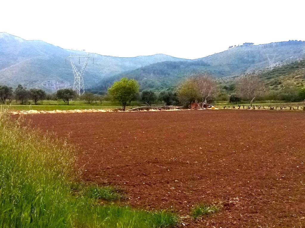 Terreno a Mondragone in provinciale falciano mondragone - Foto 5