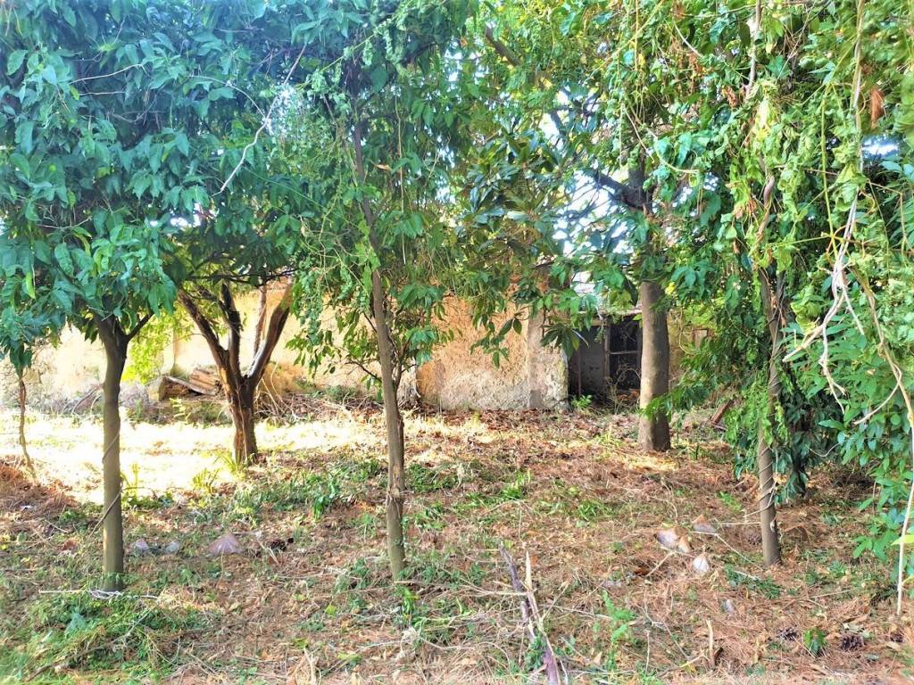 Immobile a Teano - Foto 2