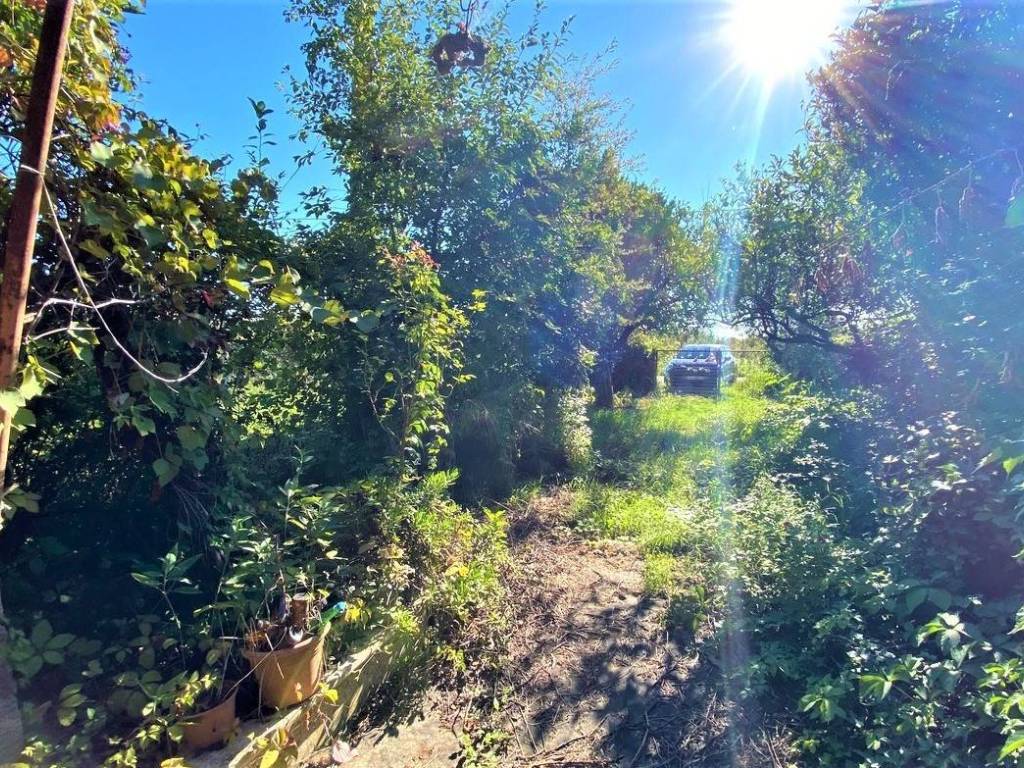 Terreno a Carinola - Foto 4