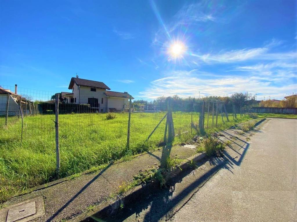 Terreno a Falciano del massico - Foto 3