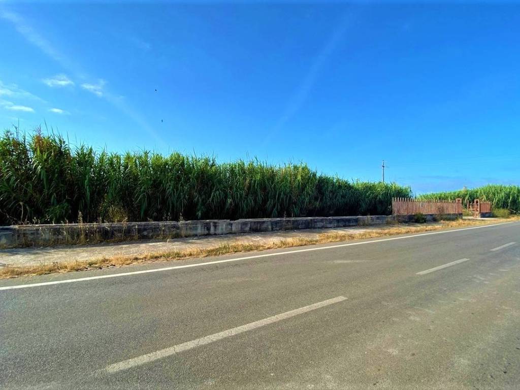 Terreno a Mondragone in provinciale 259 - Foto 2