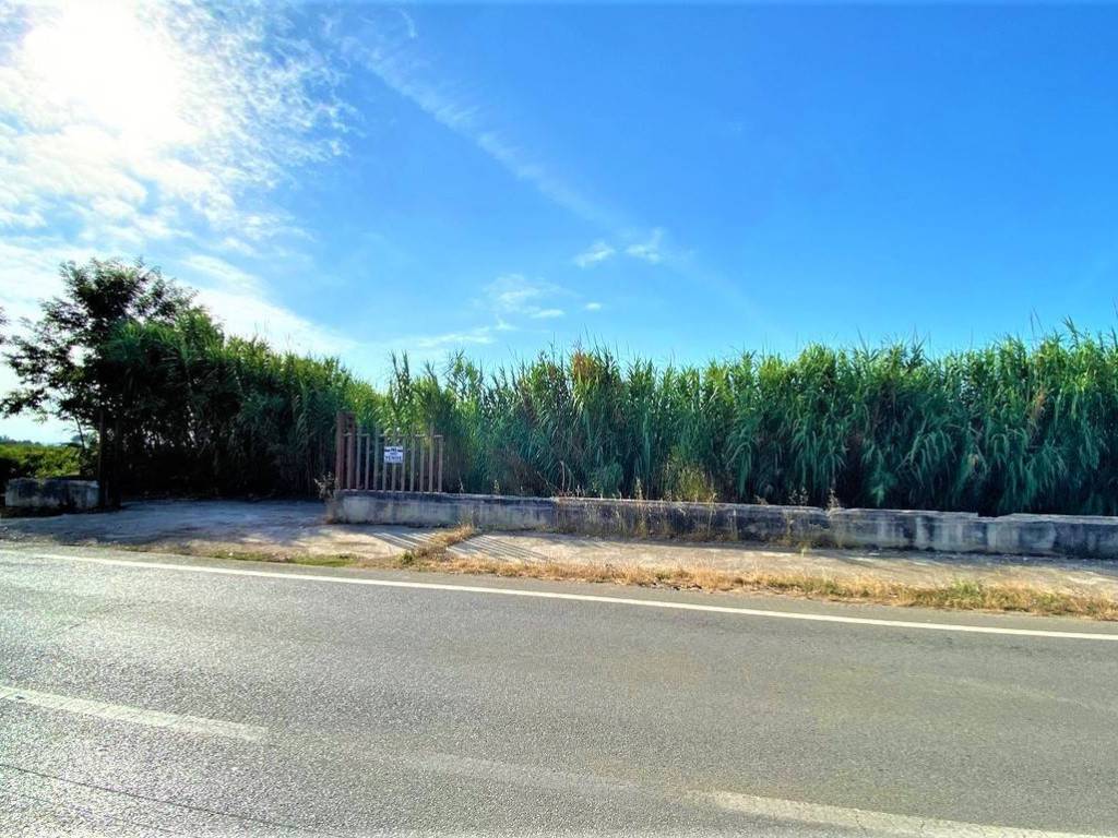 Terreno a Mondragone in provinciale 259 - Foto 3