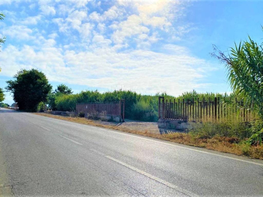 Terreno a Mondragone in provinciale 259 - Foto 4