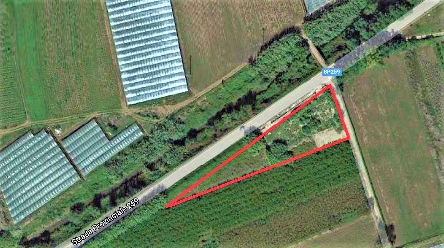 Terreno a Mondragone in provinciale 259 - Foto 5