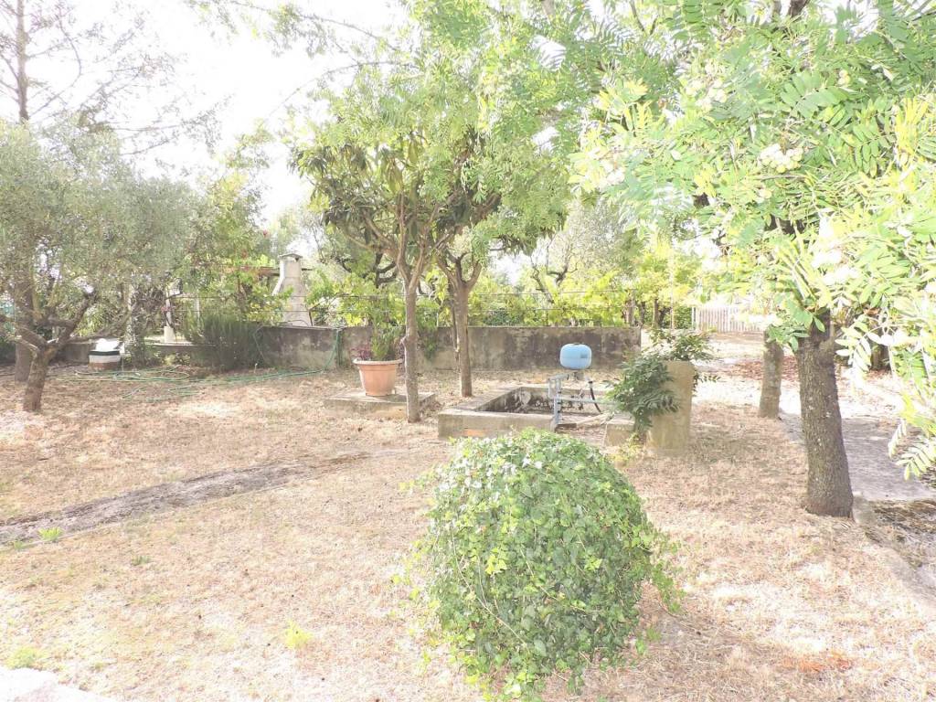 Villa a Sessa aurunca - Foto 3