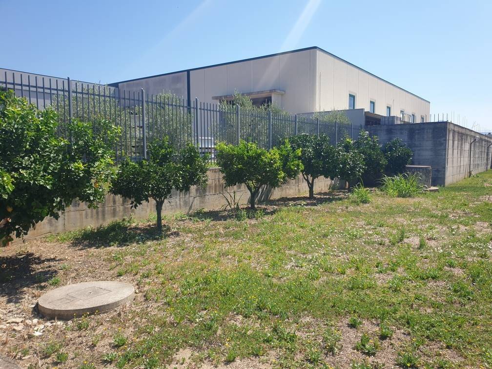 Rustico / casale a Capua - Foto 3