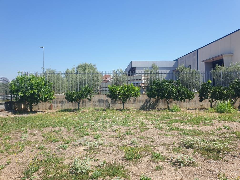 Rustico / casale a Capua - Foto 4