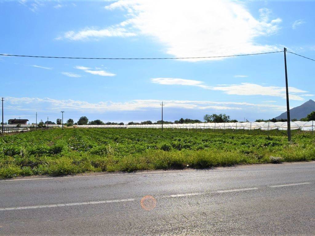 Rustico / casale a Falciano del massico - Foto 2