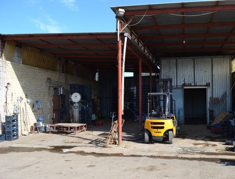 Rustico / casale a Falciano del massico - Foto 4