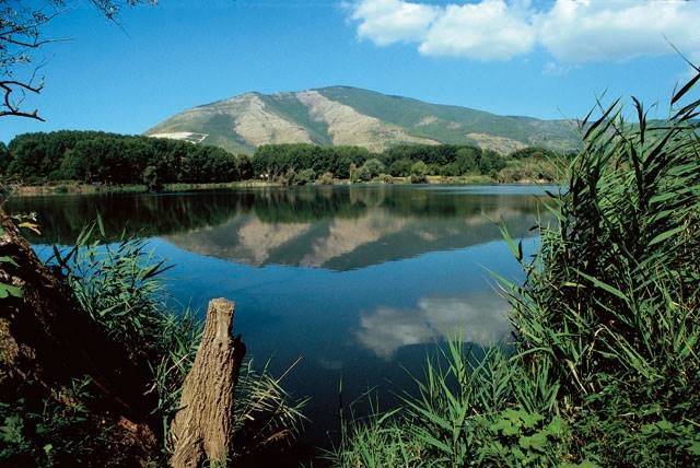 Terreno a Falciano del massico - Foto 3