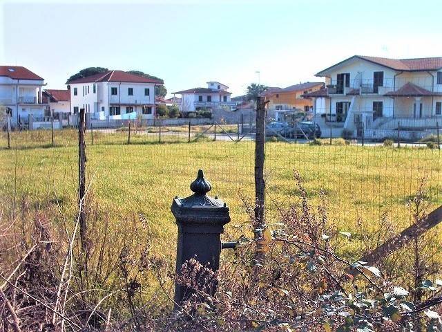 Terreno a Falciano del massico - Foto 4